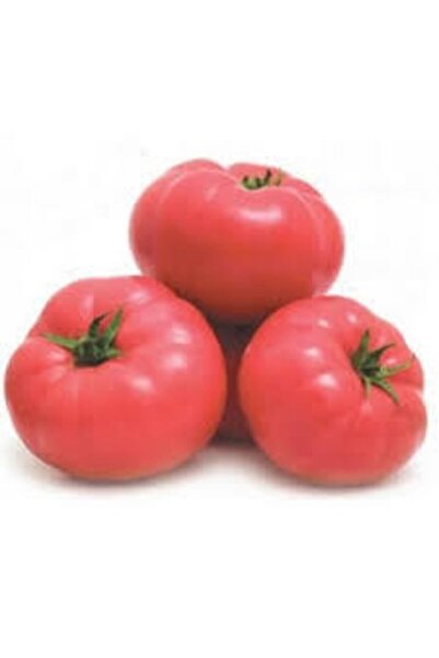 ata tohumculuk 30 Adet Tohum Nadir Ürü Pembe Bulgar Domatesi Pembe Domates To...