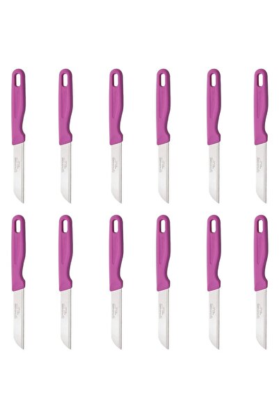Solingen Delik Saplı Meyve Bıçağı 12'li Takım-pembe