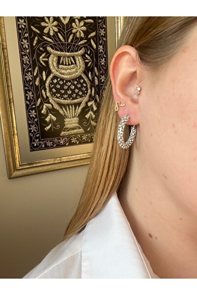 Asteria Jewelry Gümüş Renk Taşlı Halka Küpe