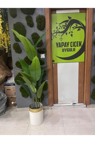 İremÇiçekçilik Krem gold 170 cm Yeni Starliçe