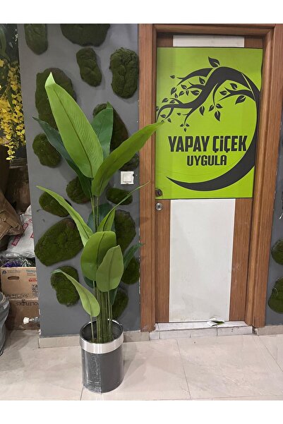 İremÇiçekçilik Siyah gümüş 170 cm Yeni Starliçe