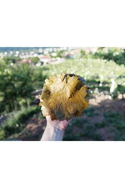 Silver's Naturals Tokat Bağ Yaprağı Ince Damarsız (direk Sarıp Pişirilir Iade Garantilidir)- Net 500 Gr