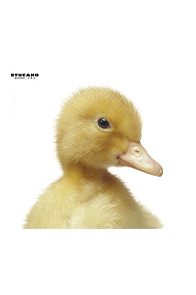 Genel Markalar Mpdel-206 Natura Serisi Mouse Pad - Yavru Ördek