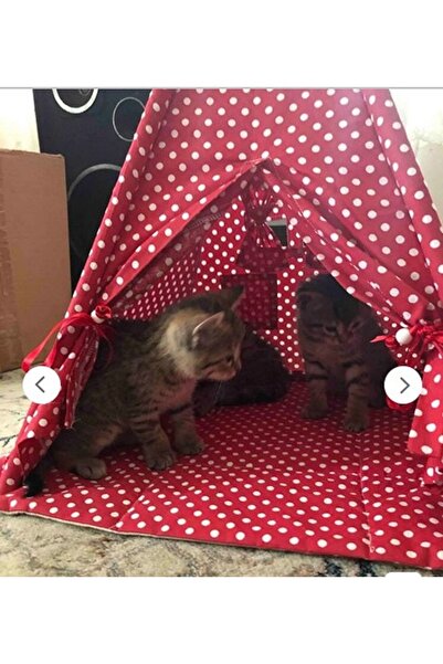 Altev Kedi Evi , Kedi Yuvası, Kedi Yatağı, Küçük Köpek Içinde Kullanır Tabanı...