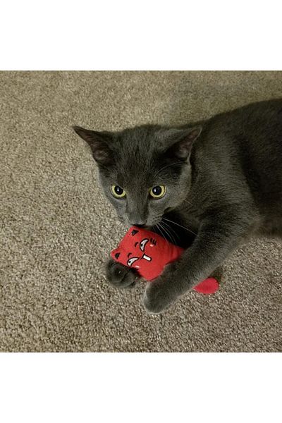 Petish Red Color Rattle Cat Grassy Cat Toy