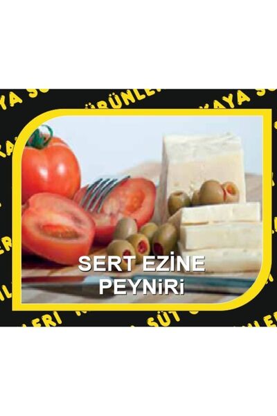HAS AYGÖREN Ezine SERT