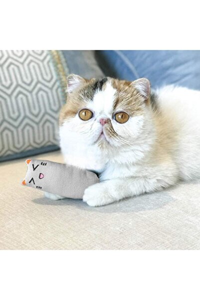 Petish 3-Piece Rattle Cat Grassy Cat Toy