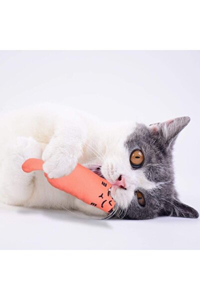 Petish Orange Color Rattle Cat Grassy Cat Toy