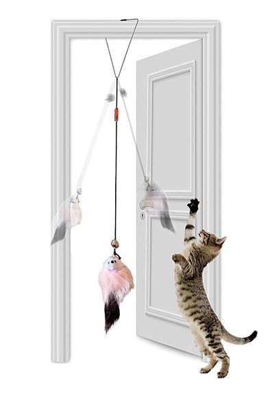 Petish Rattle Cat Toy with Door Frame Hanger