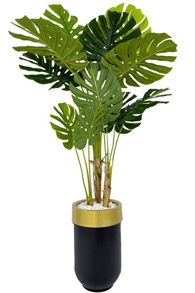 BİÇİÇEK Monstera Ağacı 170cm siyah gold metal darbuka saksıda