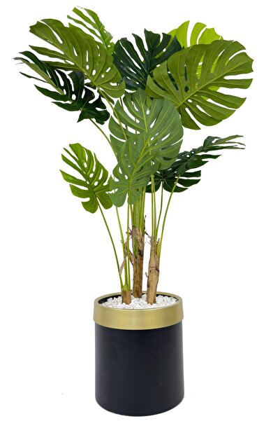 BİÇİÇEK Monstera Ağacı 160cm siyah gold metal saksıda