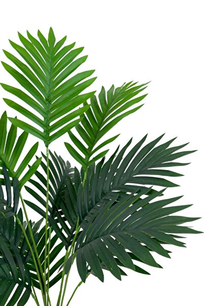 BİÇİÇEK Areka Palmiyesi 70 cm Hasır saksıda