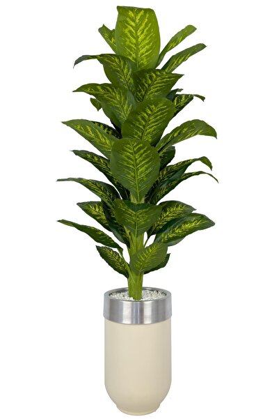BİÇİÇEK Difenbahya 170cm metal krem gümüş darbuka saksıda