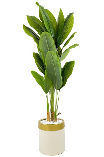 BİÇİÇEK Muz Ağacı 200cm krem gold metal saksıda