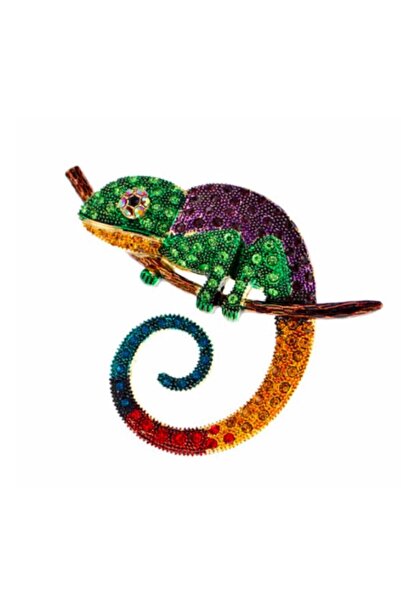 LWP Shop Selfrigdes Bilge Kertenkele Broş