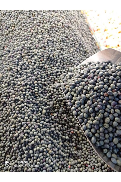 naturalköyürünleri Menengiç Çitlenbik Kurusu 1 Kg
