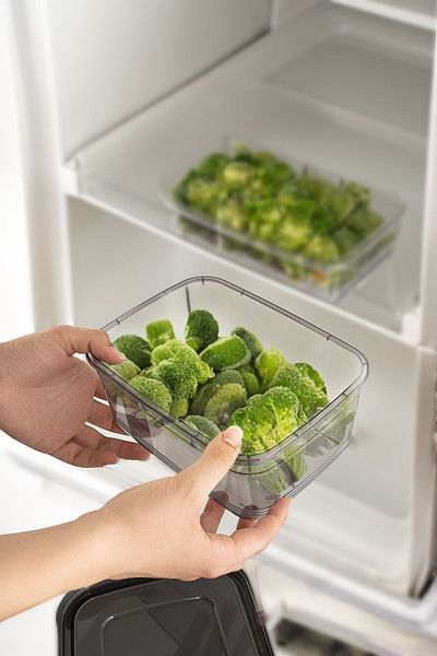 Porsima 1362 Festiva Set of 5 Rectangular No-Frost Deep Freezer Microwave Food Storage Container