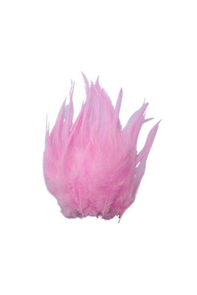 bimbambom Renkli Kuş Tüyleri, Hobi Aksesuar Süs Malzemeleri 100 Adet Kuş Tüyü