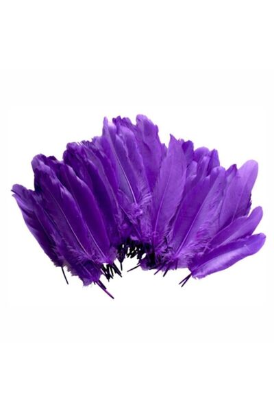 bimbambom Renkli Kuş Tüyleri, Hobi Aksesuar Süs Malzemeleri 100 Adet Kuş Tüyü