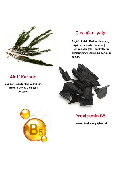 Levand 100 GR Mint Tea Tree and Activated Charcoal Katis Shampoo