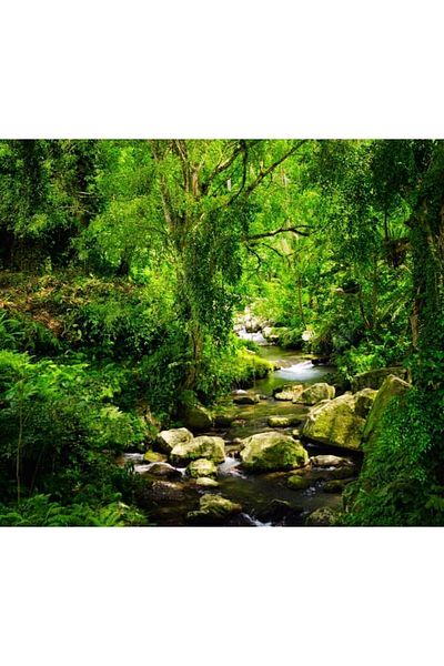 Elmas Dizayn Green Brown 3D Digital PrinteD LanDscape - 140cm*240m, Double BlaDes, 2 BackgrounD Curtains