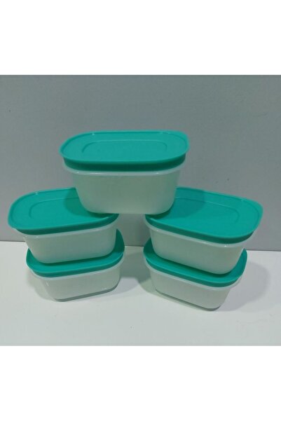 Tupperware 5 Adet 170 ML Mini Alaska.