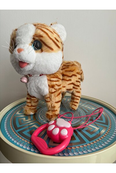 Genel Markalar Müzikli Yürüyen Miyavlayan Işıklı Kuyruk Ve Başını Sallayan Pe...