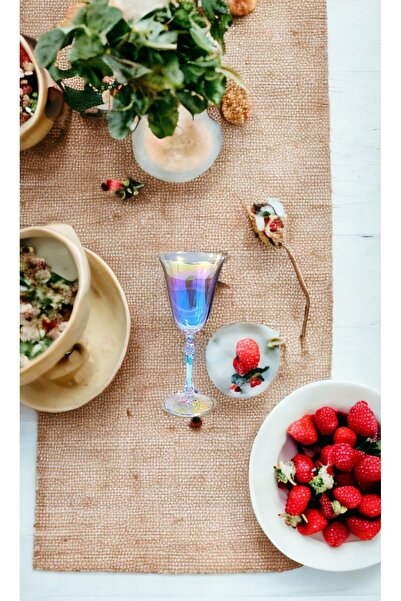 BOHEMİA CRYSTAL Titanyum Kaplama Rainbow Renkli Şarap Kadehi