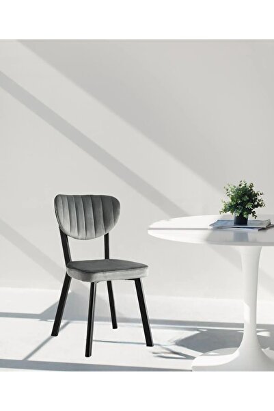 UZMHOME 4'lü Mutfak Sandalyesi Salon Sandalyesi Yemek Sandalyesi Cafe Restaur...