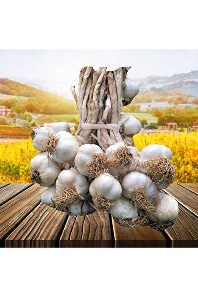 elif yöresel ürünler Büyük Boy Taşköprü Sarımsağı 1 Kg