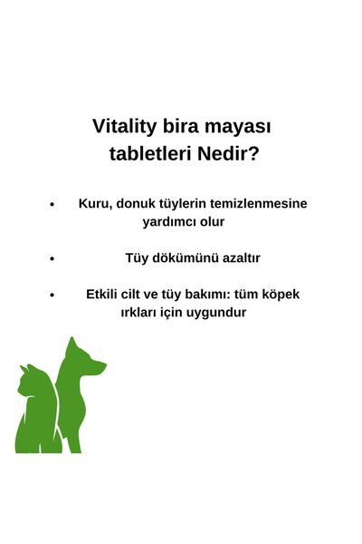 vet advice Köpek Tüy Bakım Tableti Bira Mayası Tüy dökümü önleyici