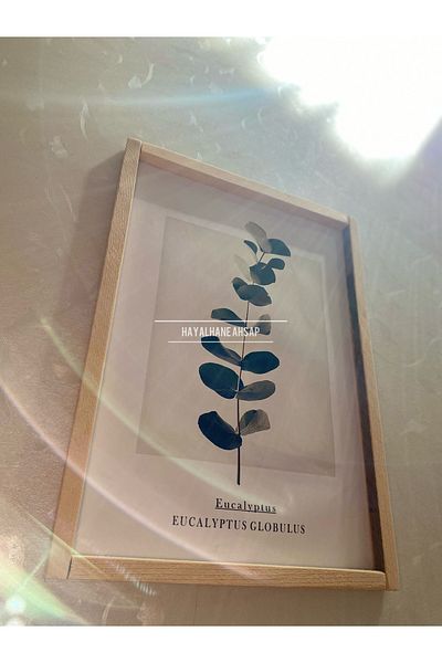 HAYALHANE AHŞAP Ъглова масичка за кафе с евкалипт и дървена рамка