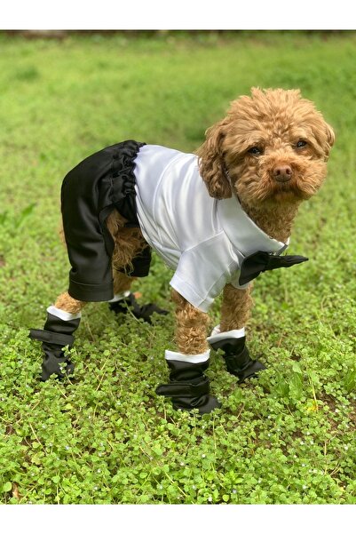 Genel Markalar Köpek Kedi Smokin Damatlık Gömlek Papyon Pantolon Ayakkabı Takım Kombin