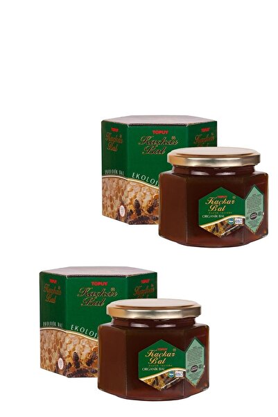 Kaçkar Bal Organik Orman Balı 450gr 2 Adet