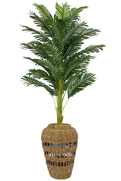 BİÇİÇEK Luxury Areka Palmiyesi 160cm Hasır saksıda bohem3
