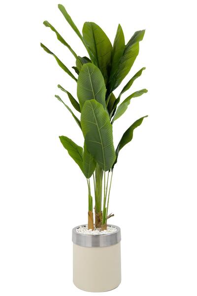 BİÇİÇEK Muz Ağacı 200cm krem gümüş metal saksıda