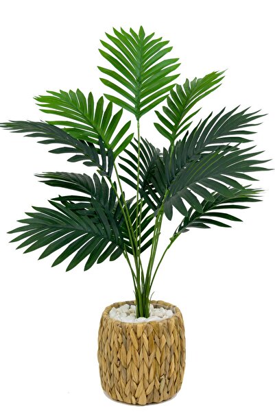 BİÇİÇEK Areka Palmiyesi 70 cm Hasır saksıda