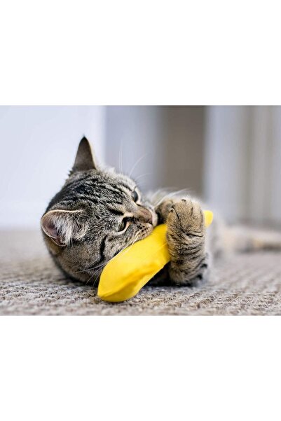 Petish 3-Piece Yellow Banana Rattle Cat Herb Cat Toy