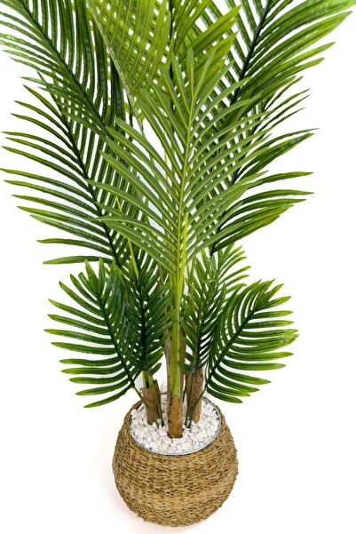 BİÇİÇEK Areka Palmiyesi 130cm geoit hasır saksıda
