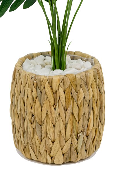 BİÇİÇEK Areka Palmiyesi 70 cm Hasır saksıda