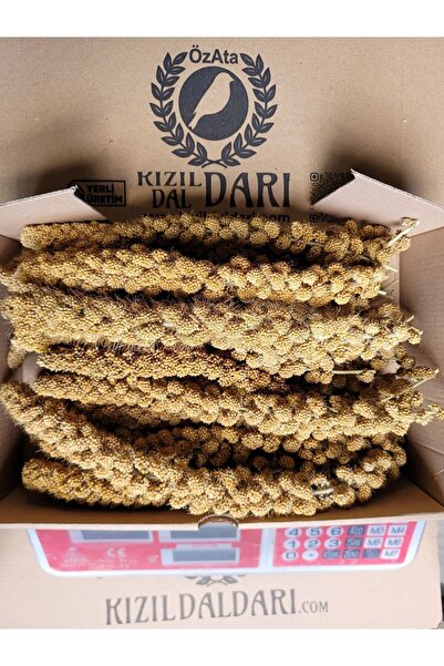 Sarı Dal Darı 500gr Muhabbet Kuşu Ve Paraket Yemleri