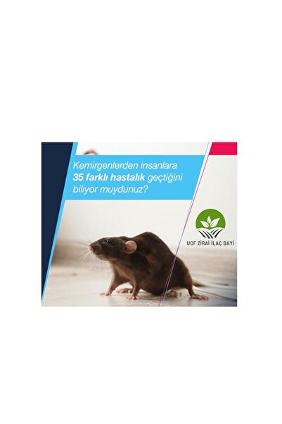 Bayer Racumin Paste-label Ev Faresi Çatı Faresi Lağım Faresi Ilacı 3 Adet