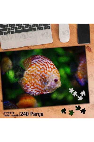 Asilmeydan Asil Hobi Süs Balığı - Okyanus - Doğa -canlı Yapboz -ayak Destekli Çerçeveli 240 Parça Puzzle