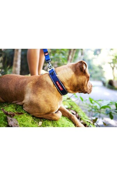 Ezydog Neo Classic Köpek Boyun Tasması 45 Mm Xsmall Mor