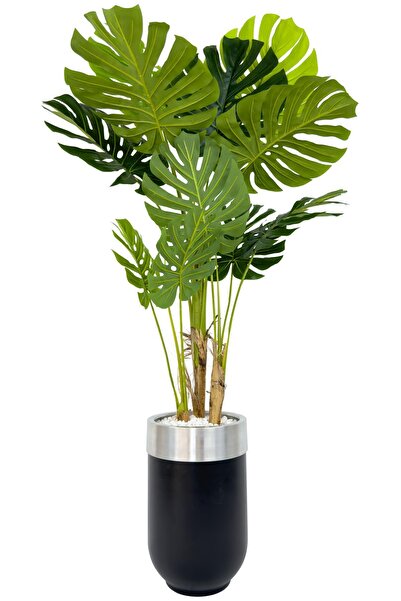 BİÇİÇEK Monstera Ağacı 170cm siyah gümüş metal darbuka saksıda