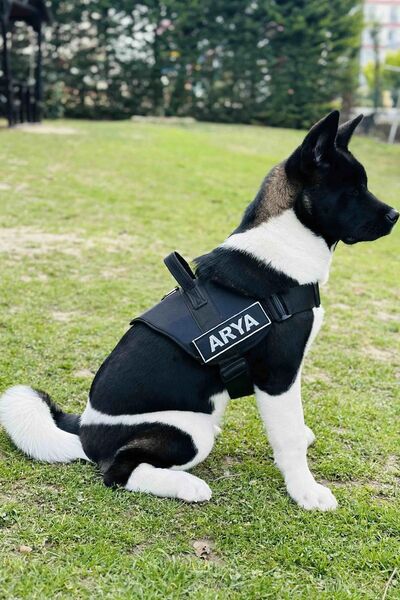 MgTasma Kişiye Özel, Isimli K9 Köpek Tasması, Göğüs Tasması