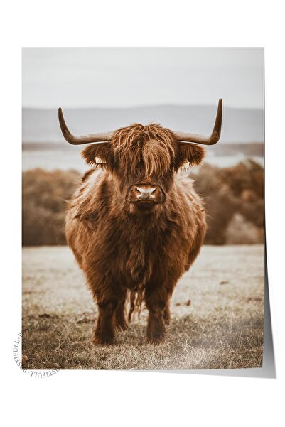 Postifull Poster rustic fără rame, pictură nordică maro, NR:48 Fotografie Red...