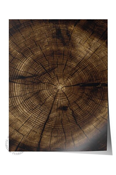 Postifull Poster rustic fără rame, pictură nordică maro, NR:40 Secțiune trans...