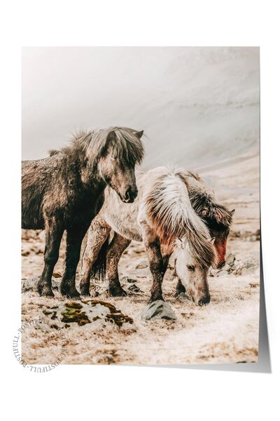 Postifull Poster rustic fără rame, pictură nordică maro, NR:119 Fotografie cu...