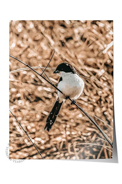 Postifull Poster rustic fără ramă, pictură nordică maro, NR:98 Fotografie cu păsări și semințe, verticală